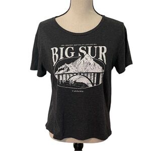 Big Sur Graphic Women's Gray Fifth Sun Short Sleeve T-Shirt Large Soft EUC